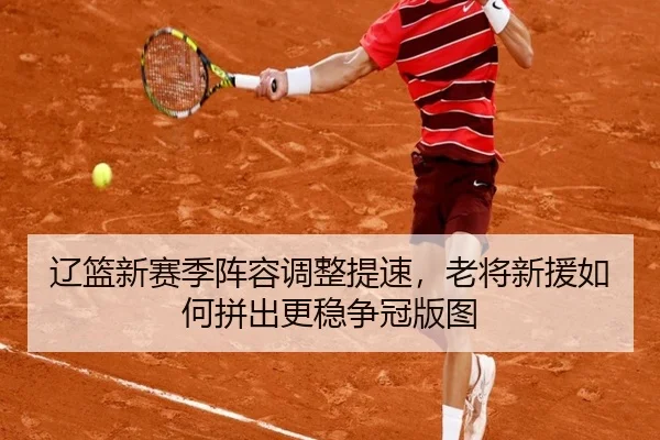 辽篮新赛季阵容调整提速，老将新援如何拼出更稳争冠版图 - kaiyun